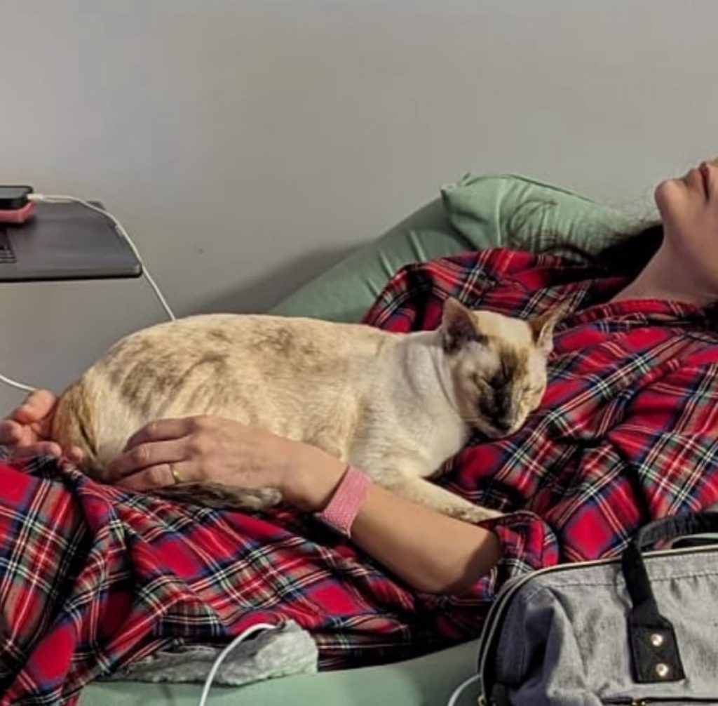 cat sleep on chest